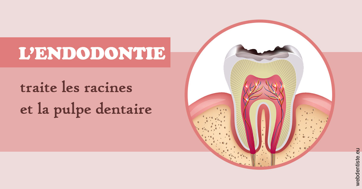 https://dr-opoka-jm.chirurgiens-dentistes.fr/L'endodontie 2