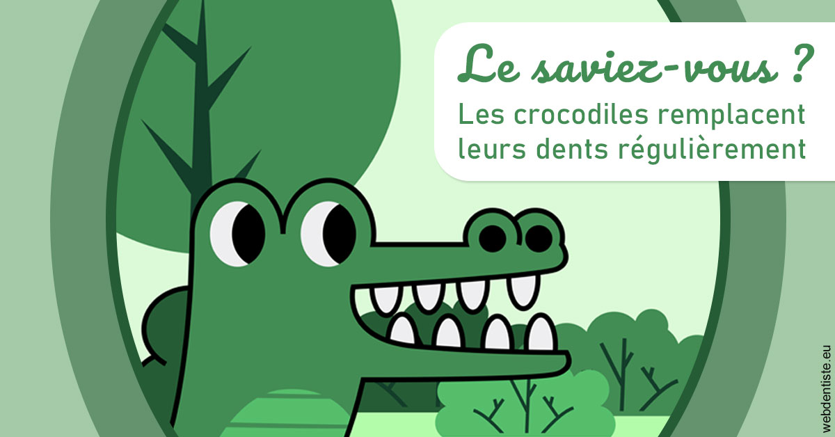 https://dr-opoka-jm.chirurgiens-dentistes.fr/Crocodiles 2