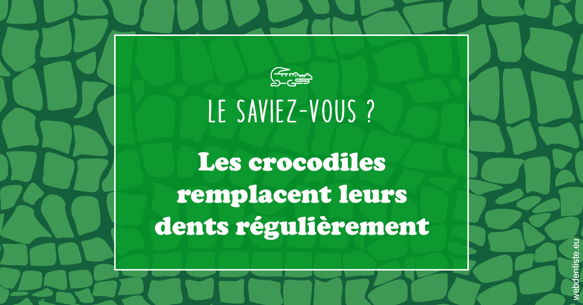 https://dr-opoka-jm.chirurgiens-dentistes.fr/Crocodiles 1