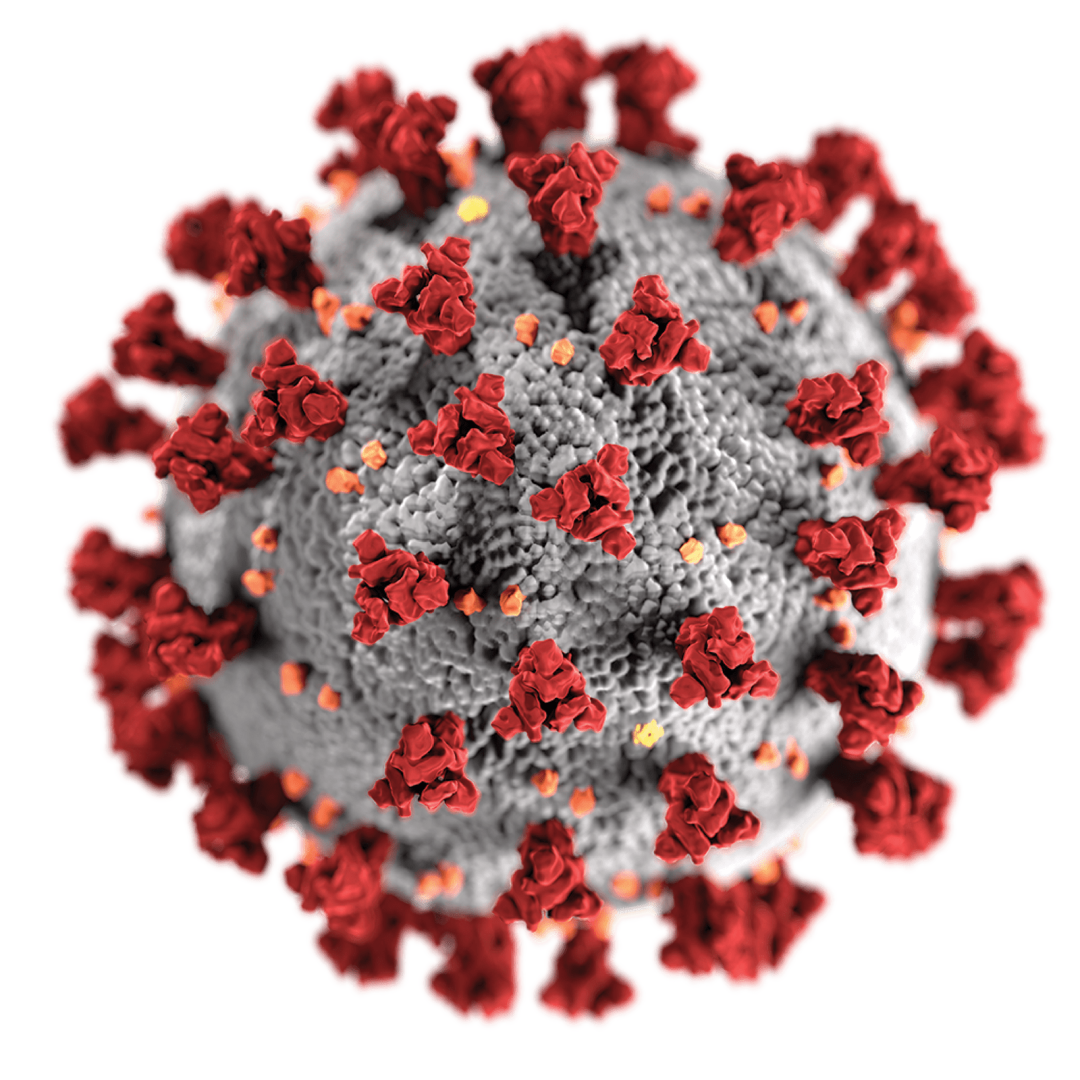 coronavirus-covid-19